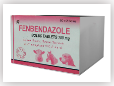 fenbendazole